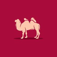 camel vector illustration N3