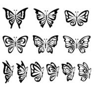 Butterflies N60