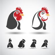 Chicken Head N2