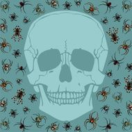 Skull and spiders N2