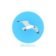 White seagull at blue sky round background