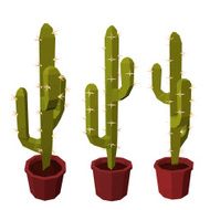 Set of cactus in a pot isolated white background Low poly