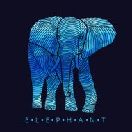 Elephant - line border and Blue low poly vector Design