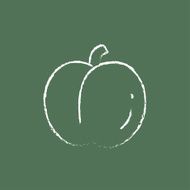 Plum icon drawn in chalk