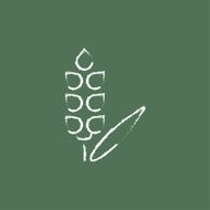 Wheat icon drawn in chalk