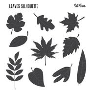 Collection of leaf silhouettes N2