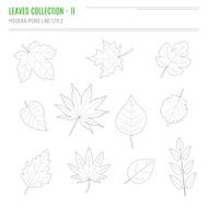 Set of leaves in modern line style