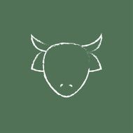 Cow head icon drawn in chalk