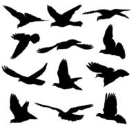 Concept of love or peace Set silhouettes doves