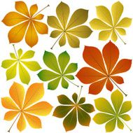 autumn chestnut leaves N2
