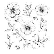 Collection of sakura flowers set