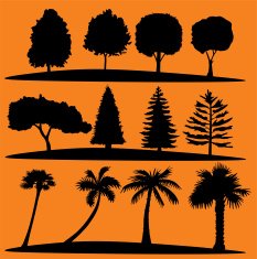 trees N21