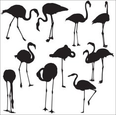 Flamingo Silhouettes N5
