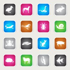 Multicolor Icons - Pets