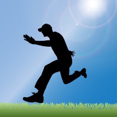 Vector silhouette of a man N318