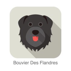 Bouvier Des Flandres dog face flat icon series