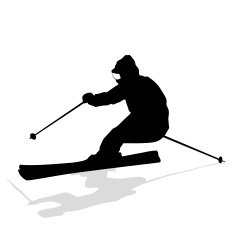 Mountain skier N2