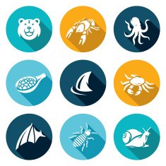 Delicacy food icons set Vector Illustration