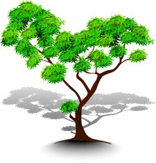 Trees with leaves on white background Vector tree drop shadows N2
