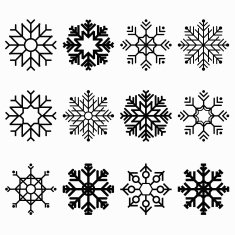 Snowflake Vector N2