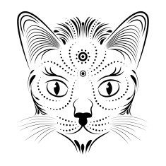 abstract cat head N2