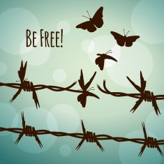 Be free! Barbed wire and butterflies