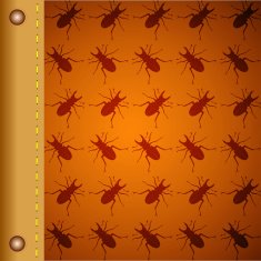 Pattern with beetles vector N2