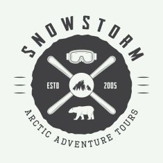 Vintage arctic mountaineering logo badge emblem N2
