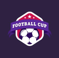 Vintage color football soccer championship logo - team badge N2