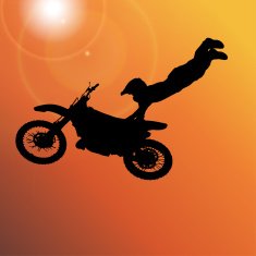Vector silhouette of a man N328