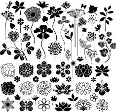 Big floral collection