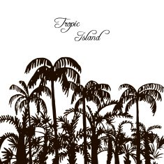 rain forest palm tree silhouettes N5
