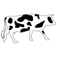 Silhouettes of spotted cow Vector illustration