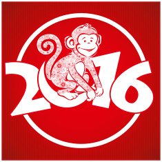 Funny monkey on bright red background 5