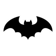 Bat N5