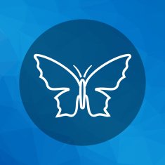 Butterfly Icon N13