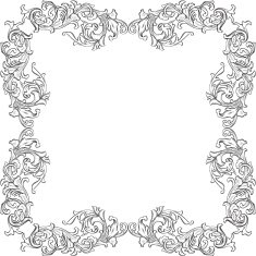 The vintage acanthus frame N2