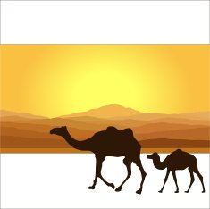 Desert N3