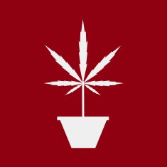 Marijuana silhouette