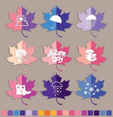 Autumn design Maple leaves