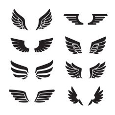 Wings black icons vector set Minimalistic design