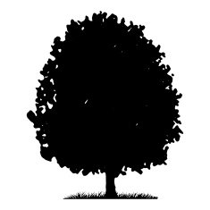 Tree and grass silhouette N3