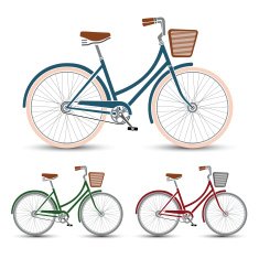 Bicycles vector