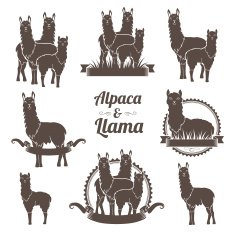 Alpaca and llamas emblems collection