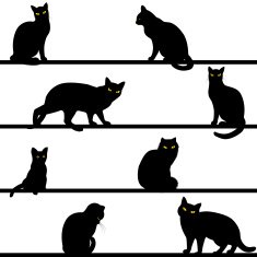pattern with cats silhouettes N2