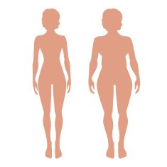 slender and full female figures