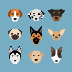 Dogs in flat style N2