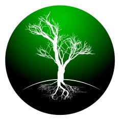Round logo a tree with roots and crown without leaves N3