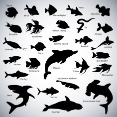 Fishes Silhouettes N3