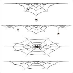 Spiders and cobweb on white background